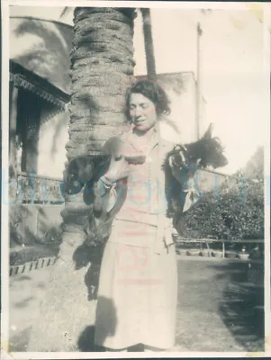 1927 Egypt Alexandria Peel Bungalow Garden Mrs Peel & Dogs Orig Photo 4x3  • £7.86