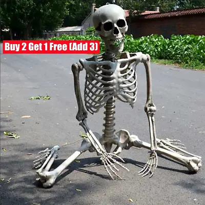 £7.99 • Buy Skeleton Full Size Poseable Human Halloween Party Prop Haunted House Decoration