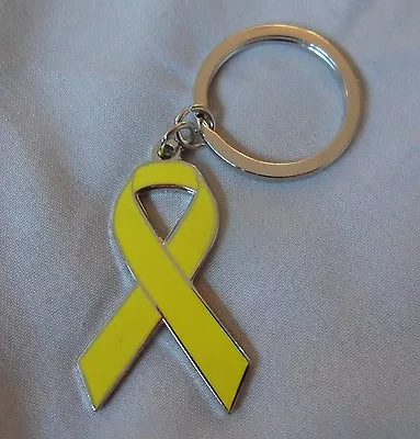 ***NEW*** Bladder Cancer Awareness Ribbon Enamel Keyring.Charity Badge. • £3.99