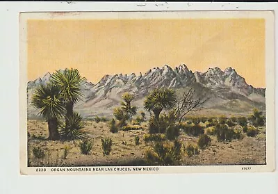 Postcard Organ Mountains Las Cruces New Mexico - With Cactus • $2.98