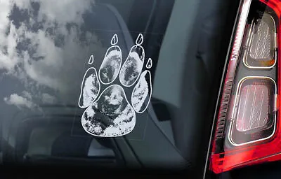 BELGIAN MALINOIS Sticker Dog Window Decal Car Stickers Gift Bumper Sign - V23 • $4.83