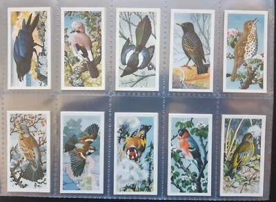 £9.99 • Buy A Complete Set Of Brooke Bond Tea Cards Bird Portraits Without Address