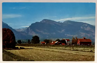 Bitter Root Valley And Mountains Missoula Montana MT Vintage Postcard • $2.95