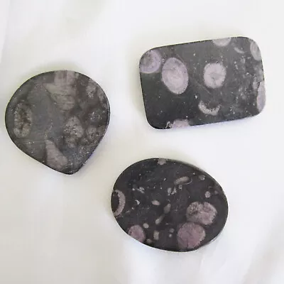 3  X Large Dyed PURPLE FOSSIL CORAL Cabouchon Stones For Jewellery Making • £7.50