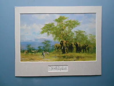 David Shepherd Print 'Amboseli' Elephants Signature In The Mount UNFRAMED • £49.95