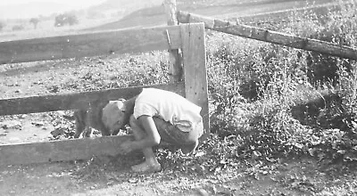 Vintage Photo Young Man Boy Bending Down To Pet Dog Through Fence Field Farm • $6