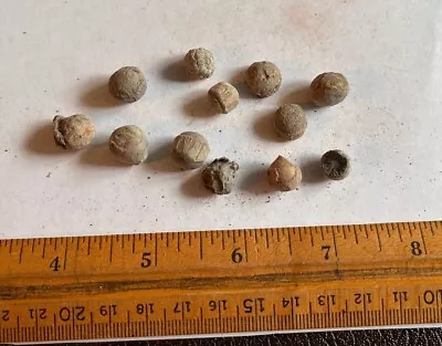 Lot Of 12 Small Fired Musket Balls Dug At Fort Buchanan Arizona U.S. Dragoons • $10.99