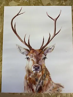 £35 • Buy A2 - STAG Limited Edition PRINT Of Watercolour By HELEN APRIL ROSE