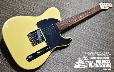 GrassRoots G-TE-50 Discontinued Color! Pickguard Changed! • $524