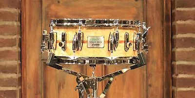 Sonor Benny Greb Signature 13x5.75  16-Lug Beech Snare Drum - New! • $1199