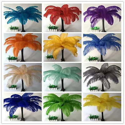 Wholesale 10-100pcs Beautiful Ostrich Feathers 6-20inches/15-50cm 16 Colors • £169.99