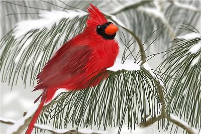 £4.47 • Buy Birds Cardinal # 1 - 8 X 10 - T Shirt Iron On Transfer - Cardinals