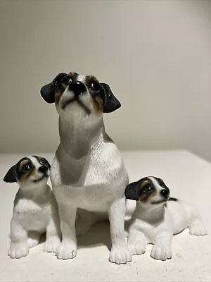 Jack Russell Mother And Puppies Leonardo • £12.50