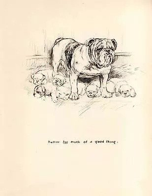 Funny Original Vintage Dog Print 1942 K.F Barker Rather Too Much Of A Good Thing • £7.75