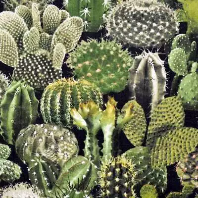 Cacti Green Timeless Treasures Fabric PER HALF METRE C8425 Cactus Realistic Des • £10