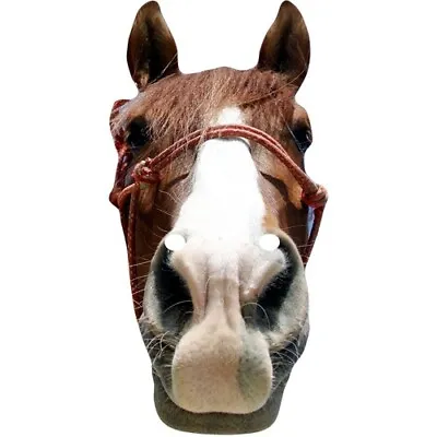Horse (Narrow) Animal Celebrity Card Face Mask - Ready To Wear - Fancy Dress • £1.95