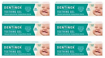 6 X DENTINOX Teething Gel (10g)  *only £5.83/unit** • £34.95