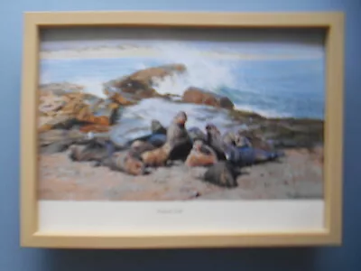 David Shepherd Print 'Elephant Seals' FRAMED • £23