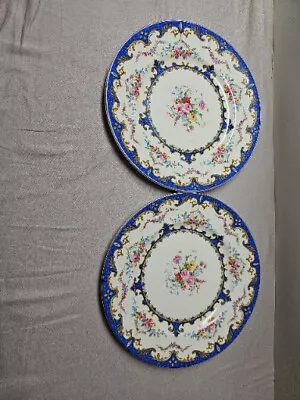 2 Myott Staffordshire Sevres Blue 9 7/8  Dinner Plates Floral Plate Set As Is • $33