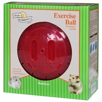 Harrisons Small Animal Exercise Play Toy Ball 18cm For Hamsters Gerbils • £9.99