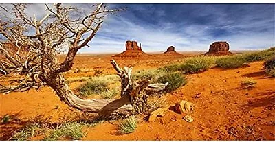 36X18 Inches Reptile Habitat Background Orange Desert Terrarium Background Durab • $14.29