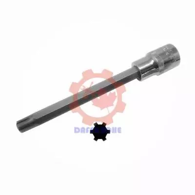 ❤1/2  Dr T52 M10 S2 Cylinder Head Bolt Tool Polydrive Socket T10070 For VW Audi • $26