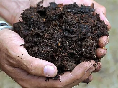 Organic Well Rotted Horse Manure 2kg 2L • £12.99