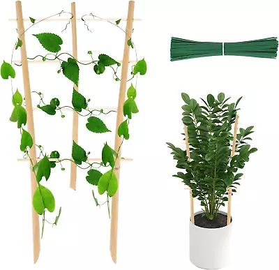 Bamboo Trellis For Climbing Plants 16 Inch 3 Pack Fan-Shaped Natural Small Bambo • £17.19