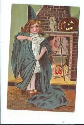 Vintage Halloween Themed Postcard Post Card Witch Pumpkin Owl • $26.69