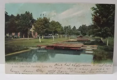 Corry Pennsylvania State Fish Hatchery 1905 To Ridgway PA Rotograph Postcard AA2 • $5.99
