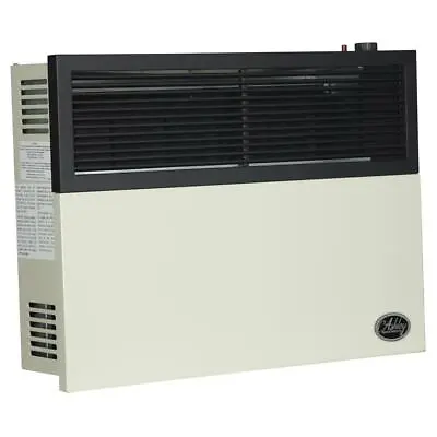 $599.99 • Buy Ashley Hearth Products Direct Vent Heater Natural Gas Wall Furnace 17K BTU Input