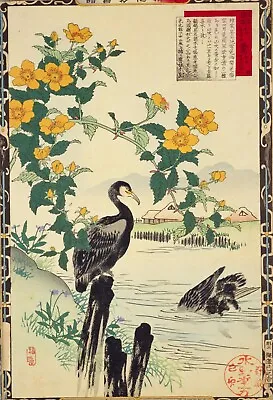 Kerria Cormorants Vintage Kono Bairei Japanese Poster Botanical Print Art • £4.10