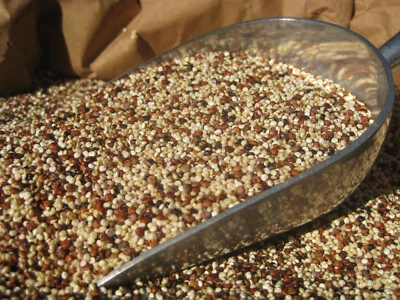 $64.95 • Buy Quilla Foods 5Kg Organic Tricolour Quinoa **IN STOCK** FREE DELIVERY