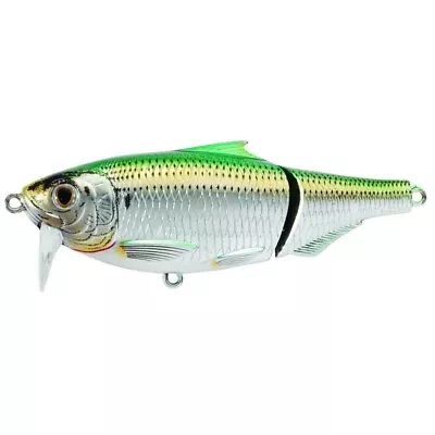 RARE Live Target (SSW75T933) Saltwater Wakebait Scaled Sardine Pilchard Green • $29.98