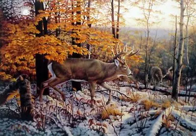 On The Trail Deer Buck Art Print By Greg Alexander  Image 10   X 7   • $14.95