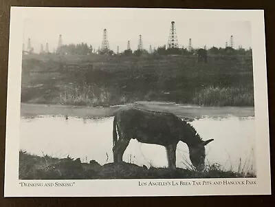 Drinking & Sinking - La Brea Tar Pits - Los Angeles Ca. Postcard • $6.95