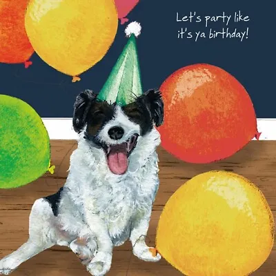 Jack Russell Birthday Card Little Dog Laughed Patch The Jack Russell X • £3.45