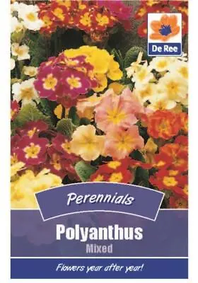 £0.99 • Buy PACKET Of POLYANTHUS Mixed 70 FLOWER Garden SEEDS