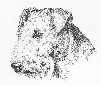 Welsh Terrier #1 - CUSTOM MATTED - 1963 Vintage Dog Art Print 0507 CLD • $12.50