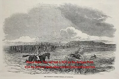 Dog Greyhound Coursing At Waterloo & Spelthorne 1840s Antique Print & Article • £67.51