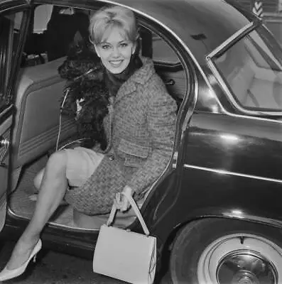Janette Scott At London Airport With Her Dog Mrs UK 1960s OLD PHOTO • £5.27