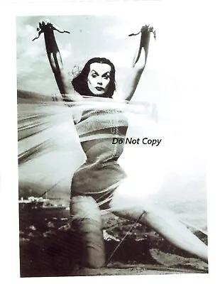 Early Vampira  Maila Elizabeth Syrjäniemi Portfolio Black/White 8 X11 Re-Print • $10