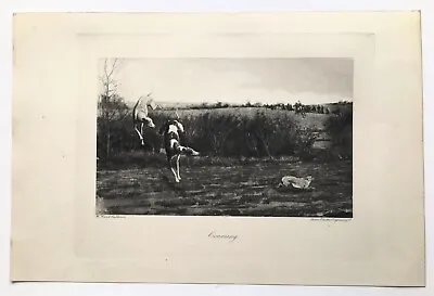 HARE COURSING GREYHOUNDS - Original C 1897 Antique Print B/W Engraving • £9.99