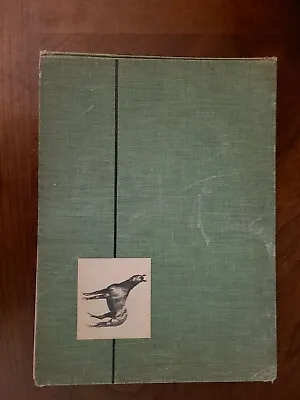 Deep Through The Heart By C. W. Anderson - 1940 20 Valiant Horses First Edition • $27