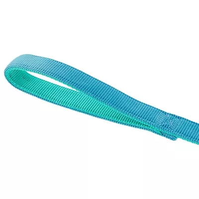 Top Paw Gunmetal Double Nylon Dog Leash: 6-ft Long 1-in Wide - Aqua/Teal • $12.99