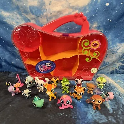 Littlest Pet Shop LPS Bundle Joblot Including Case • £29.99