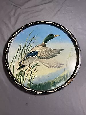 Mallard Duck In Flight After James Artig Tin Toleware Den Wall Decorative Tray • $8