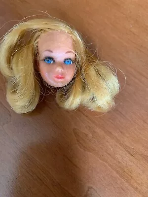 Vintage Barbie Doll Head Eyelashes And Dark Blonde Pigtails TLC • $9.99