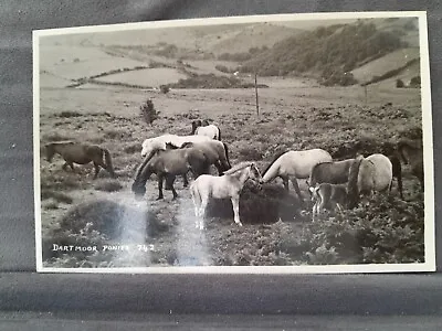 Dartmoor Ponies 25209 • £1.50