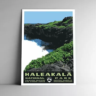 Haleakalā National Park Travel Poster / Postcard Hawaii USA Multiple Sizes • $5.99